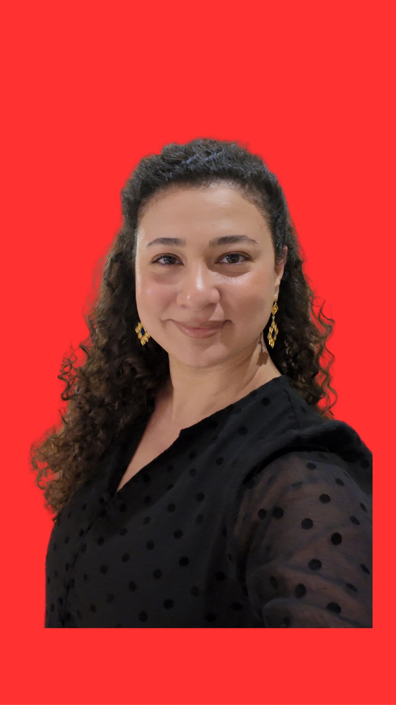 Practic & Perfect bloqunun müəllifi Fidan